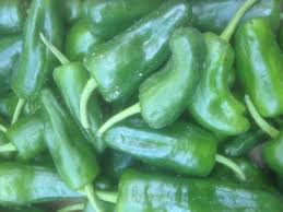 Travel guide resource for your visit to padron. Naturkost Spittelberg Bio Pimientos De Padron 100g