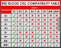Blood Compatibility Chart Nursing Labs Nursing Lab Values