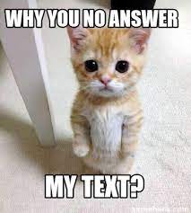 Meme Creator Funny Why You No Answer My Text Meme Generator At Memecreator Org
