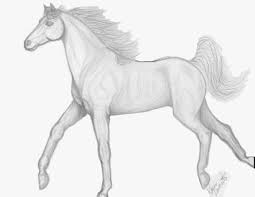 Easy Horse Drawings In Pencil Easy Horse Drawing Horse Drawings Horse Art