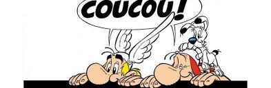 Résultat de recherche d'images pour "asterix"