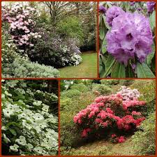 Cross Hills Garden Garden On A Hill Flower Garden Flowers