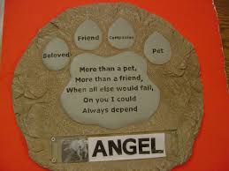 Which offered stem cell therapies. Animal Cell Therapies Inc Home Facebook