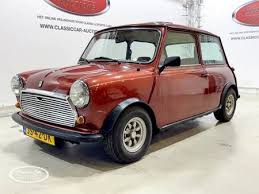 Image result for Mini Mayfair