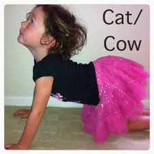 Cat Cow Pose Easy Yoga Poses Yoga For Kids Yoga Poses