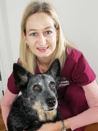 Meet Our Team-Sorrento Animal Hospital