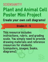 Plant cell poster project ideas. Plant And Animal Cell Poster Mini Project By Sciensanity Tpt