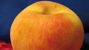 Black And Yellow Mixed Together What Colors Mixed Together Make Peach Color Mixing Peach Color