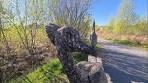 Nationaal park de Grote Peel. - YouTube