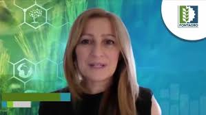 17232 Bienvenida HLB