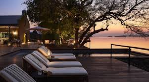 Image result for Grangea zambesiaca