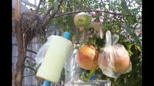Maybe you would like to learn more about one of these? Make Fruit Wrapper Device From Plastic Bottle Youtube