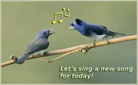 Divertiti con la migliore selezione di video relativi a singing bird. Momwomanhuman Birds Gif Find On Gifer