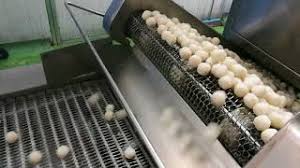 B&l food industry sdn bhd. Working At M S Food Industries Sdn Bhd Company Profile Cute766