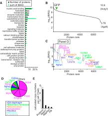 Are you the creator of this tool? A Multi Layered Quantitative In Vivo Expression Atlas Of The Podocyte Unravels Kidney Disease Candidate Genes Sciencedirect