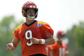 Bengals offensive coordinator seeing QB Joe Burrow reach the next level