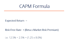 What Is Capm Capital Asset Pricing Model Formula Example