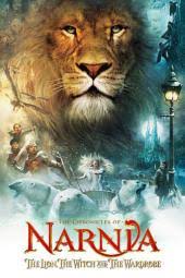 One year after their incredible adventures in the lion, the witch and the wardrobe, peter, edmund, lucy and susan pevensie return to narnia to aid a young prince whose life has been threatened by the evil king miraz. The Chronicles Of Narnia The Lion The Witch And The Wardrobe Movie Review
