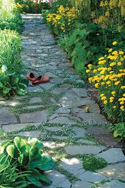 Brushing past or stepping upon it releases a pleasant, minty fragrance. Plants For Pathways Finegardening