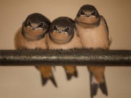 Check spelling or type a new query. Casini Ranch Camping Rates Casini Ranch Family Campground