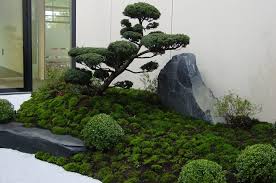 Aziatische Tuinen Van Japan Garten Kultur Aziatisch Homify Asiatischer Garten Japanischer Garten Garten