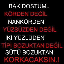 Nankor Ikiyuzlu Sutubozuk Guzel Soz Mizah Alintilari Ilham Verici Sozler