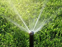 How much water do you waste watering your lawn? Rockology Utah Lawn Care Tips Utah When Should I Water My Lawn