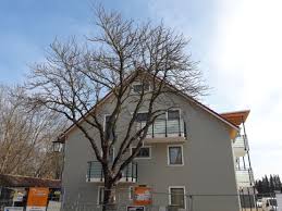 Möchtest du eine wohnung in neufahrn b. 3 Zimmer Wohnung Zu Vermieten 85375 Neufahrn Mintraching Mapio Net