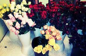 Maybe you would like to learn more about one of these? Vivian S Floral And Gifts Home Facebook