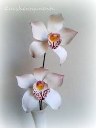 Gumpaste Cymbidium Orchid Cymbidium Orchids Orchids Orchid Flower