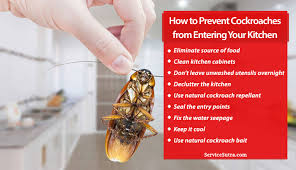 to prevent cockroaches from entering