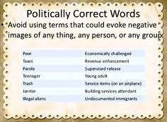 48 Politically Correct Ideas Political Correctness Politics Correction