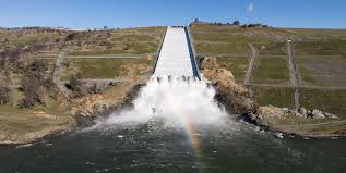 Image result for Larkspur 1986 Colne Valley Water Company