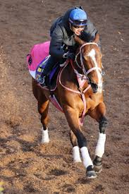高松宮記念のうま吉無料軸馬予想を公開します。 #高松宮記念 #うま吉 #競馬予想 #重賞予想. Bbtxktkxbrfnkm