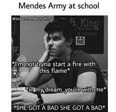 Shawn Mendes In My Dreams You Re With Me I M Listening To Bad Reputation Rn Nobody Knows The Way That I Know Her Shawn Mendes Funny Shawn Mendes Memes Shawn Mendes