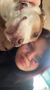 Lost Dog Breana in Hessel, MI near Saint Ignace rd