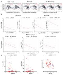 La bloc episodul 257 calul video dailymotion. Bmpr2 Expression Level Is Correlated With Low Immune Infiltration And Predicts Metastasis And Poor Survival In Osteosarcoma