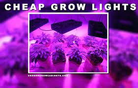 Table of contents (jump to section) show Growing On A Budget Best Cheap Led Grow Lights For Marijuana Oregongrowcabinets Com