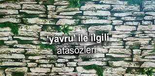 Yavru Ile Ilgili Atasozleri Ve Anlamlari Huzur Sayfasi Islami Bilgi Kaynaginiz