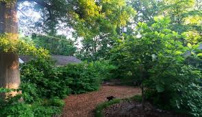 That being said, wood chips don't decay as quickly as other mulches, such as bark mulch or leaf mold. Give A Garden Path A Makeover With Wood Chip Mulch Hobby Farms