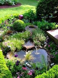 Interview Garten Gartenteich Miniteich
