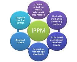 Integrated pest management (ipm) aims at integrating methodologies across all crop protection disciplines in a manner that is compatible with the concept of ipm was first advanced in the 1960s as an expansion of the idea of integrated control, and has since gained widespread acceptance by. Integrated Pest Management Helping Farmers In Scotland Farm Advisory Service