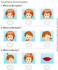 Esl printable face parts vocabulary worksheets, picture dictionaries, matching exercises, word search and crossword puzzles, missing letters in look at the list below and write the names of the face parts vocabulary in the correct boxes. Face Parts Worksheet Turtle Diary