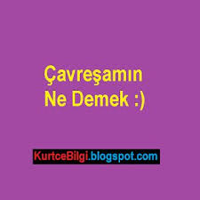 Cavresamin Ne Demek Turkce Anlami Nedir Kb Blog Turkce Ve Blog