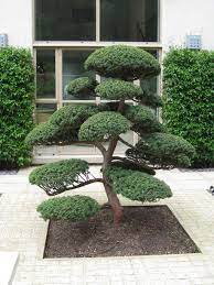 Gardendesignlayout Zen Garden Design Mini Zen Garden Japanese Garden