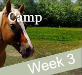 Camp: Week 3 — Horses With Hope