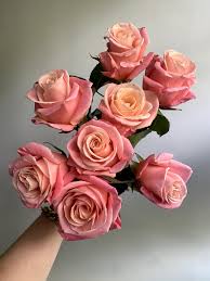 Check spelling or type a new query. 900 Flower Madness Ideas In 2021 Beautiful Flowers Planting Flowers Flower Arrangements