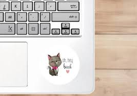 Pin On Funny Cat Themed Gifts