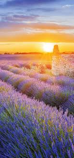 Its resolution is 1080px x 2340px, which can be used on your desktop, tablet or mobile devices. Free Huawei P8 Lite Wallpaper Huawei P8 Lite Wallpaper Download Wallpaperuse 1