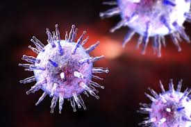 Infektiöse mononukleose, auch pfeiffersches drüsenfieber genannt, ist eine ansteckende krankheit. Epstein Barr Virus Infektionen Diagnose Und Behandlung Heilpraxis